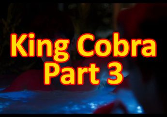 King-Cobra-Gay-Movie-Part-3